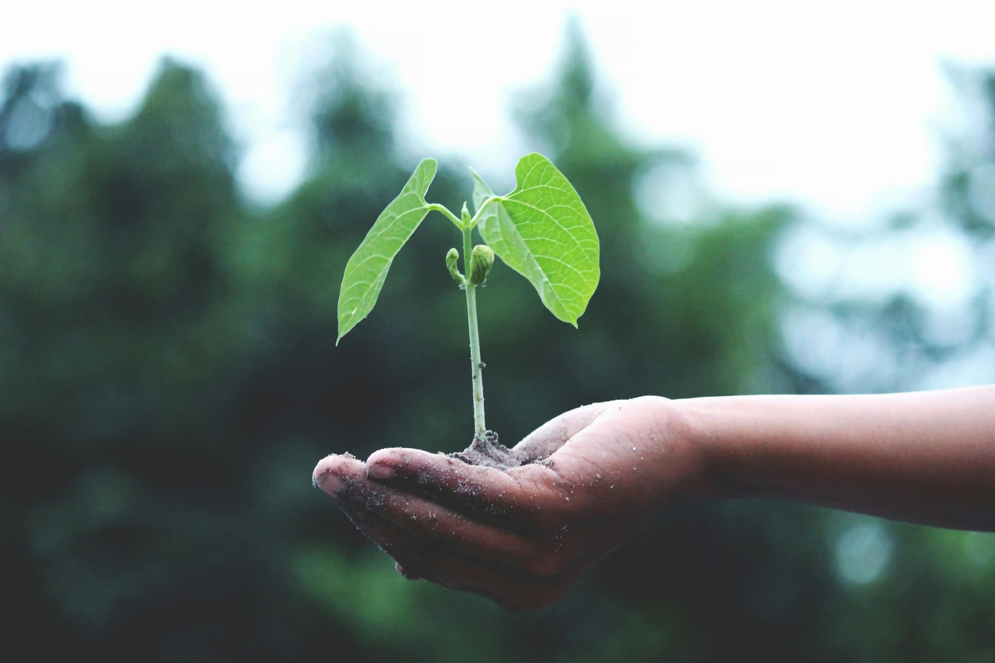 ISO 9001 en klimaatverandering: het klimaatamendement uitgelegd